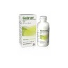 Galaver