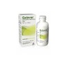 Galaver