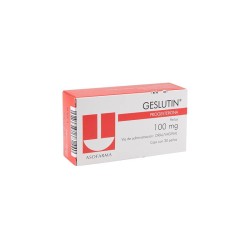 Geslutin