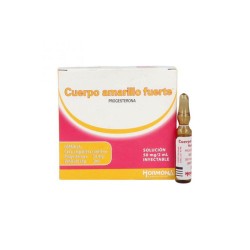 Cuerpo Amarillo Fuerte